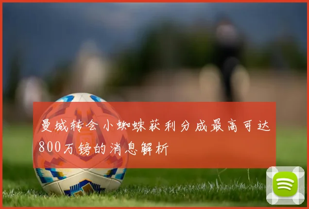 曼城转会小蜘蛛获利分成最高可达800万镑的消息解析
