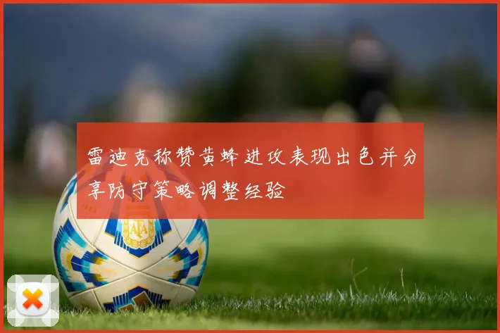 雷迪克称赞黄蜂进攻表现出色并分享防守策略调整经验